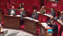 7/11/2013 - Assemblée nationale - Budget travail emploi