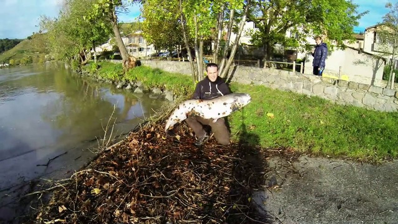 9 novembre 2013 SCR  - journée du bord !