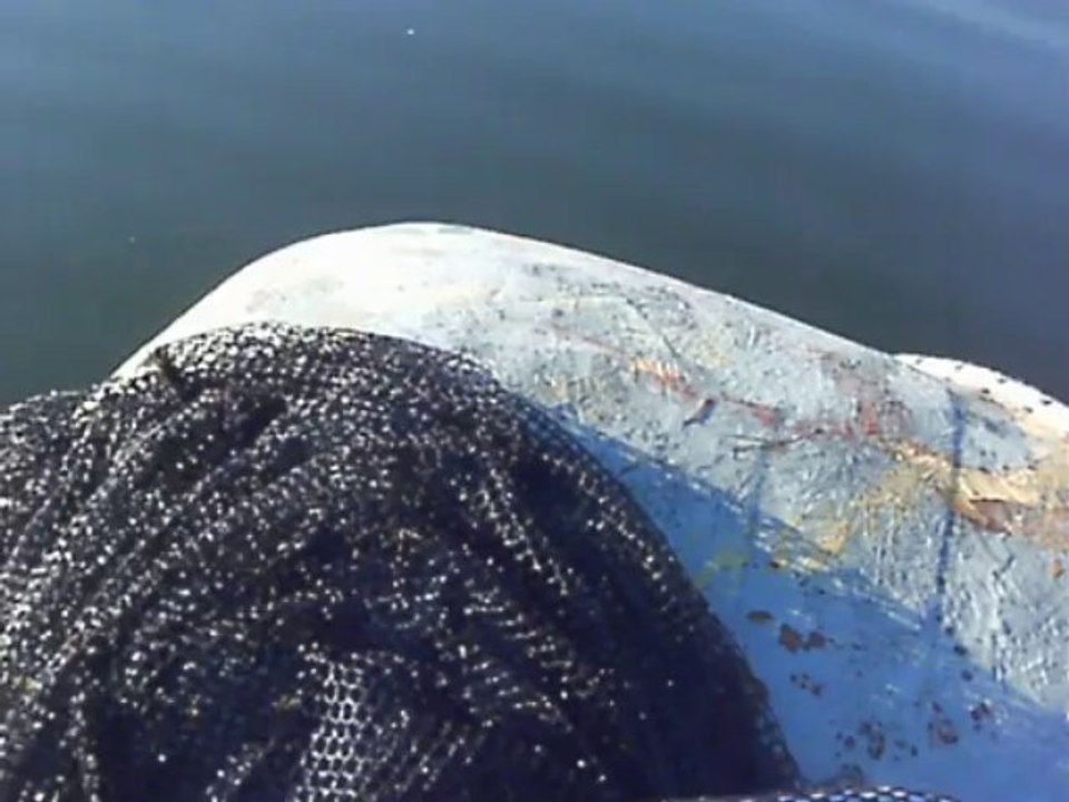 Bilent Yıldırım Sazan avı 3 (carp fishing)