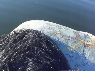 Bilent Yıldırım Sazan avı 3 (carp fishing)