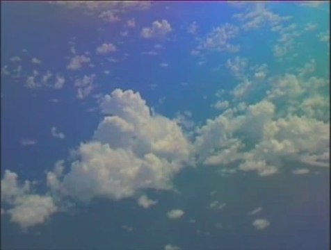 Fly Like A Bird From Atmospheres Digital Downloads