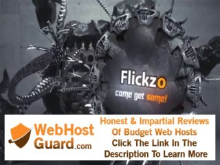 Flickzo Web Hosting Company UK