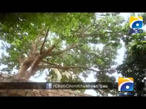 Chhoti Chhoti Khushiyan Episode 11 Geo Tv Drama 7th November 2013 in High Quality By GlamurTv