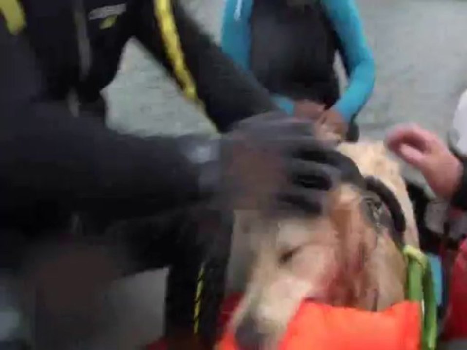 FOOZY GILET DE SAUVETAGE