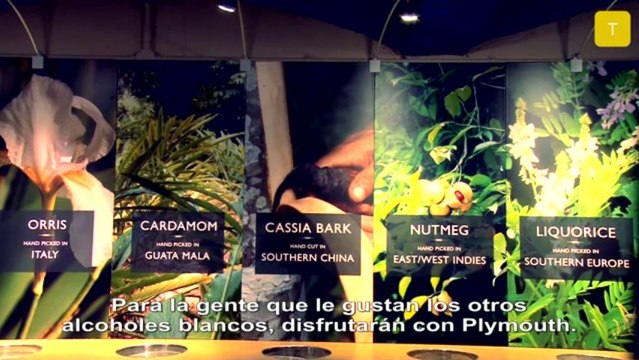 Gin Lovers: Plymouth Gin