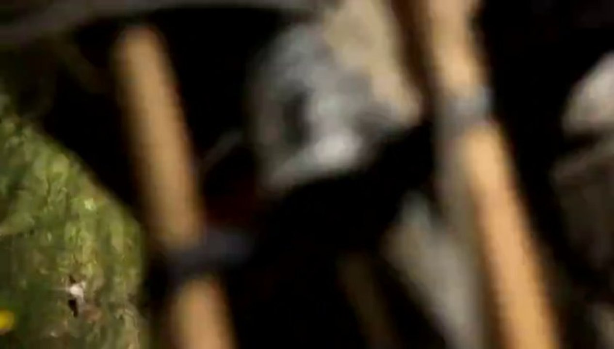 Ride It : Easton Graham Agassiz's NZ Adventure