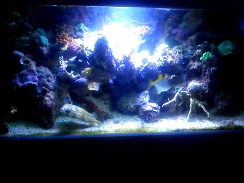 aqualed x 85