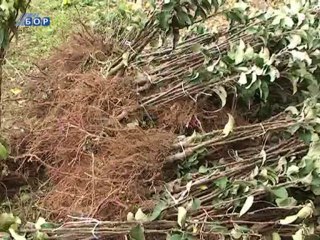 Selo moje, 10. novembar 2013.