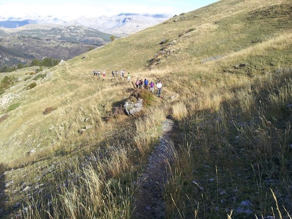Mili melo d’a