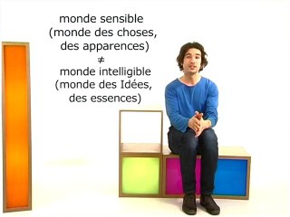 L'allégorie de la  caverne