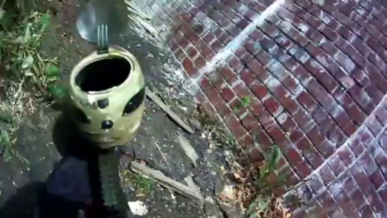 Liba 28.07.2013, el prezidento ii