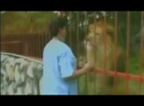 Le lion fait pattes de velours [une belle leçon de vie]