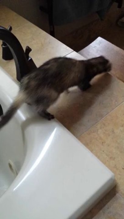 Bruces bathtub adventure.