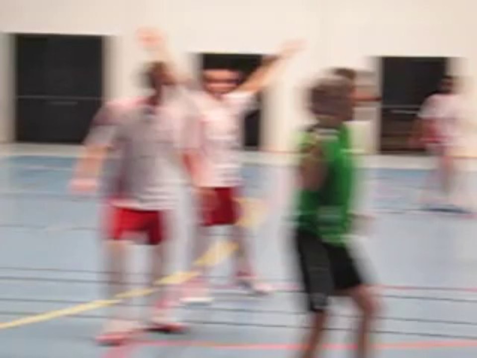 Handball : L'ALC s'impose de justesse face à Sucé-sur-Erdre