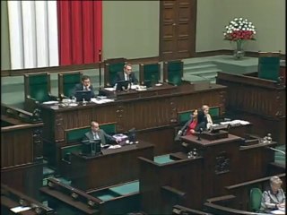 Anna Paluch - wystąpienie z 6 listopada 2013 r.