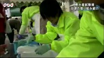 20131109　漁業復興へ水産試験場参観デー（福島）