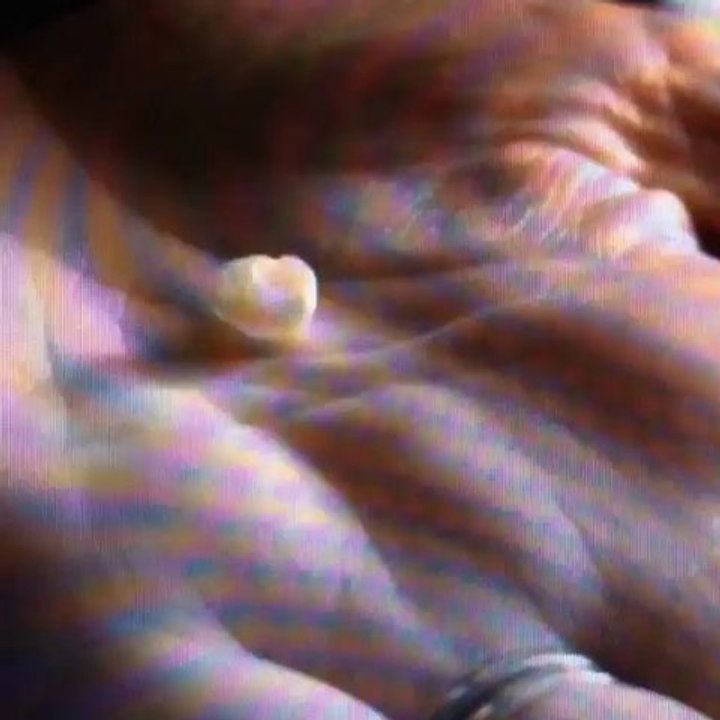 twilight forever; Mackenzie bts of bdp2