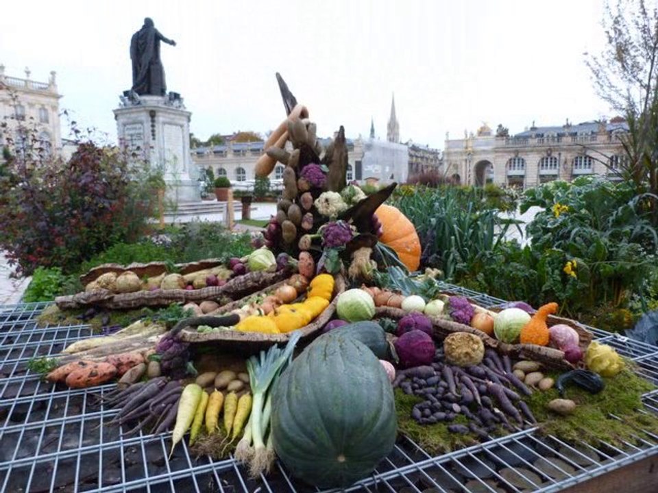 NANCY -  le jardin éphémère 2013