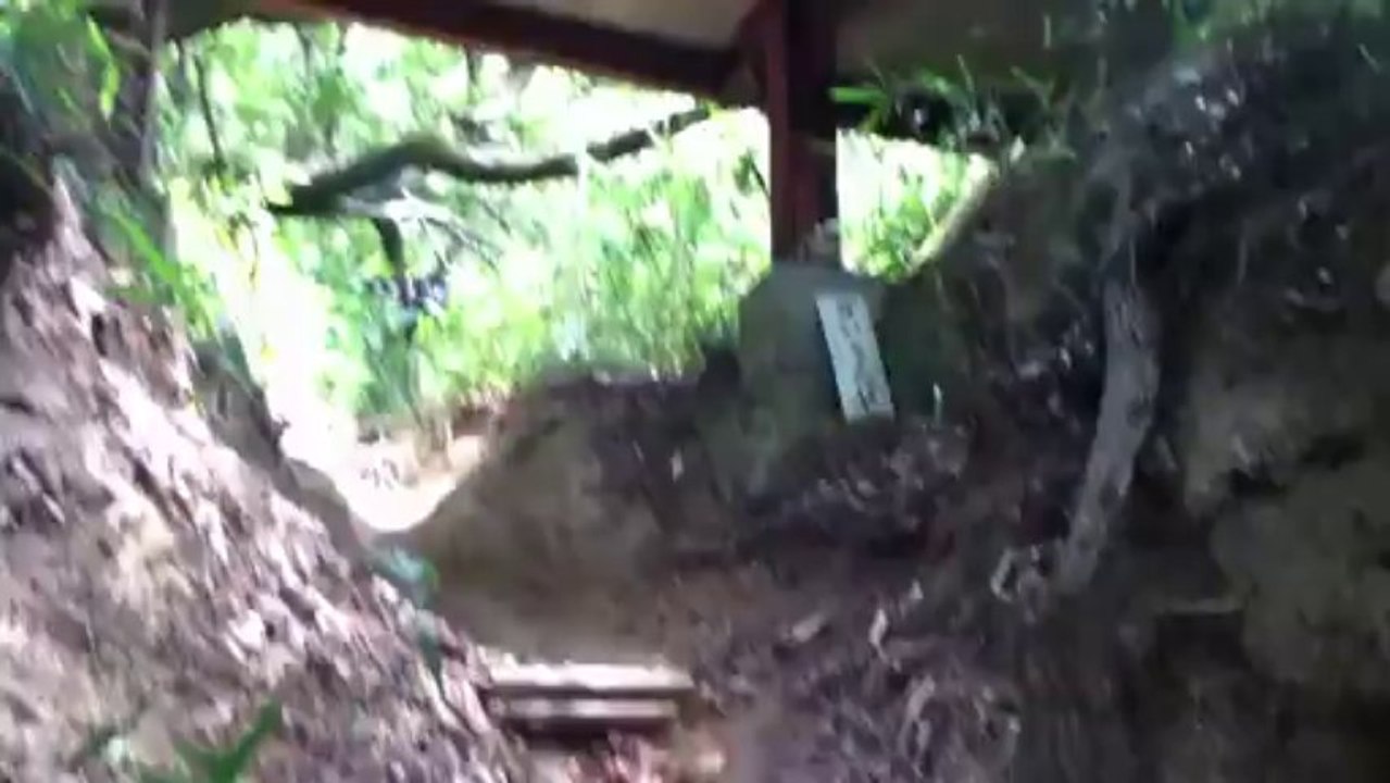 高安山（大道コースから恩地コース）H25 8月18日