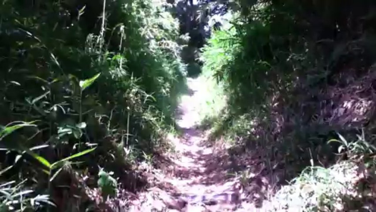 高安山（大道コースから恩地コース）H25 8月18日