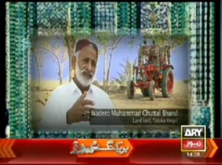 Bulletin - 1400 - Sunday - 10 - Nov - 2013