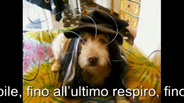 BENNY L'AMORE DELLA MIA VITA