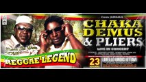 CHAKA DEMUS  PLIERS live in concert  LIVELLO 118 - SALENTO - 23 NOVEMBRE 2013