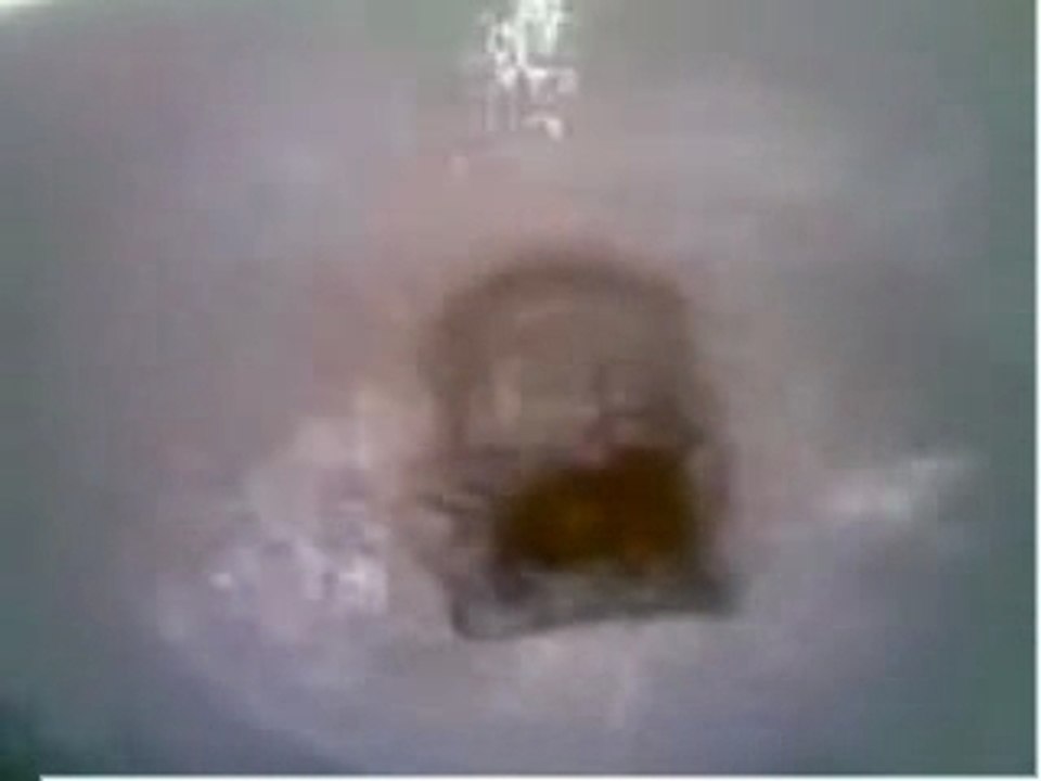 Me taking a dump