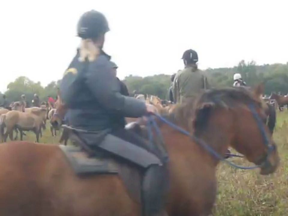 Arrivée transhenson 2013