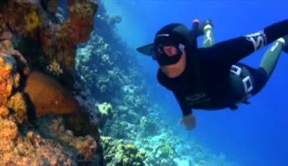 SSI FREEDIVING The Dream