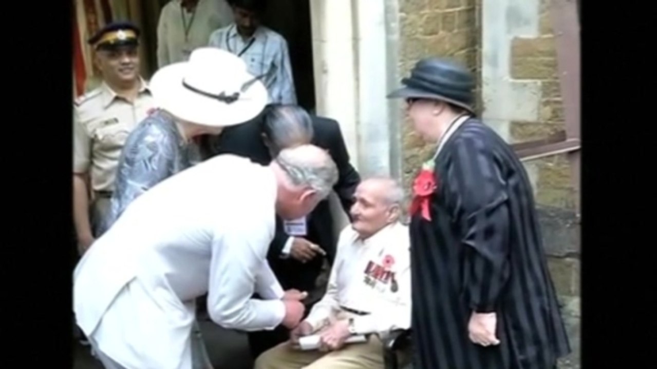 British Royals visit war veterans on Remembranc...