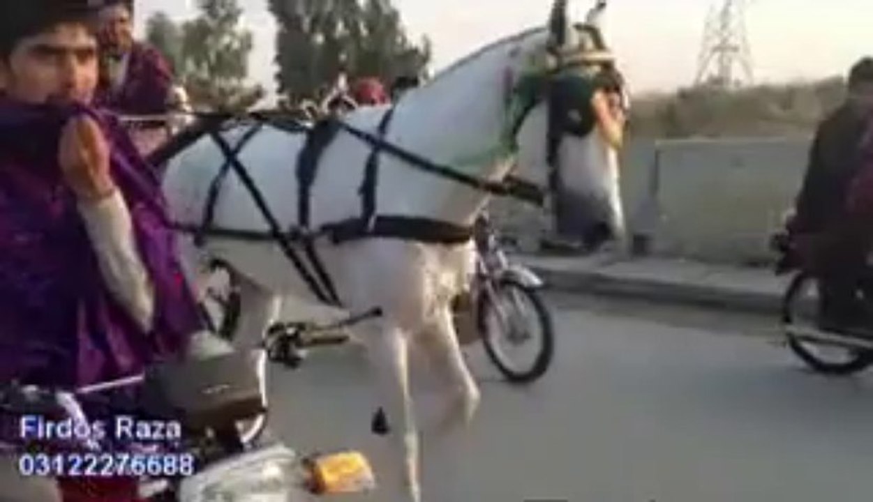 atif uk horse pawan jumma try 8-11-13