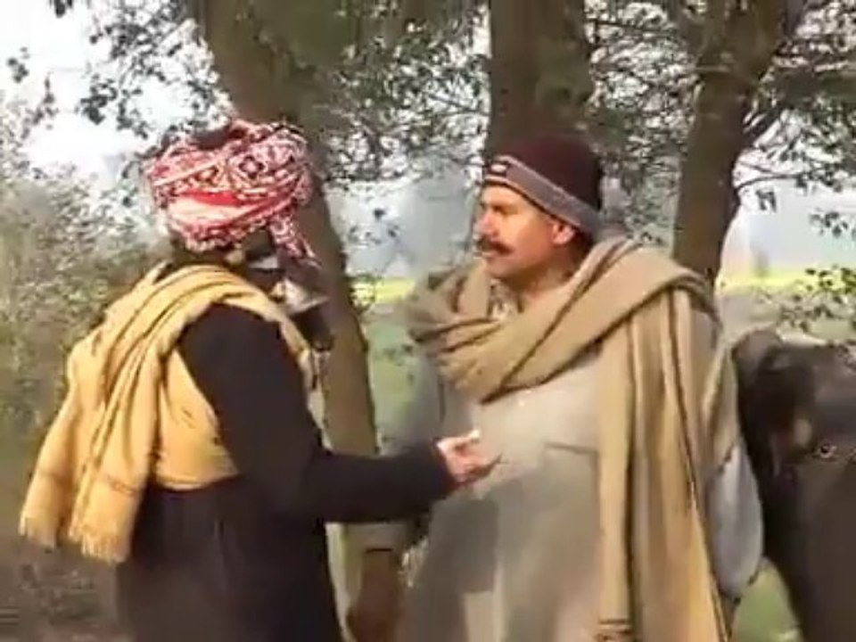 Funny Punjabi Fighting Programme