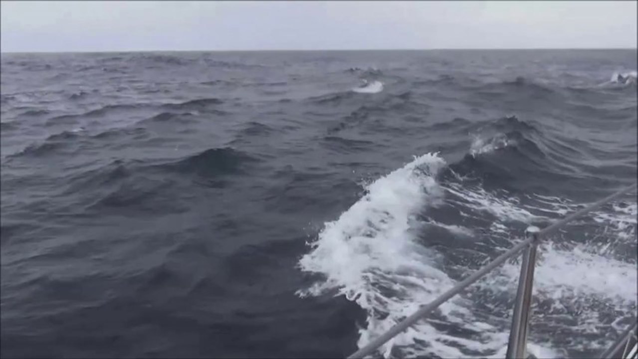 Jour 4 - Team Plastique (IMOCA) - Transat Jacques vabre 2013