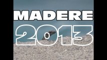 Voyage Madère 2013
