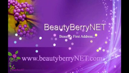 ALFAPARF Nutri Seduction Ультра Зволожуючий Шампунь