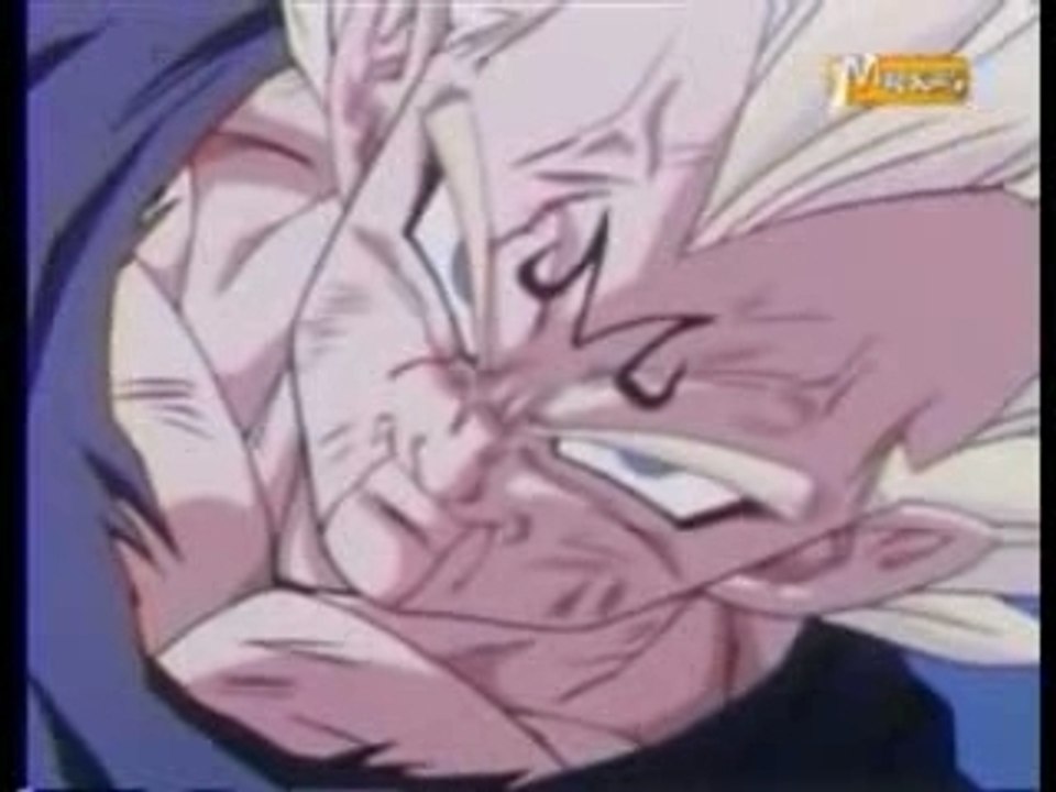 AMV Dbz vegetat