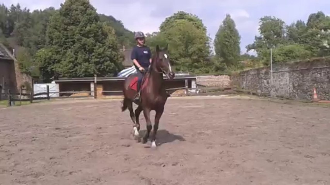 Torenda, première appuyer au galop
