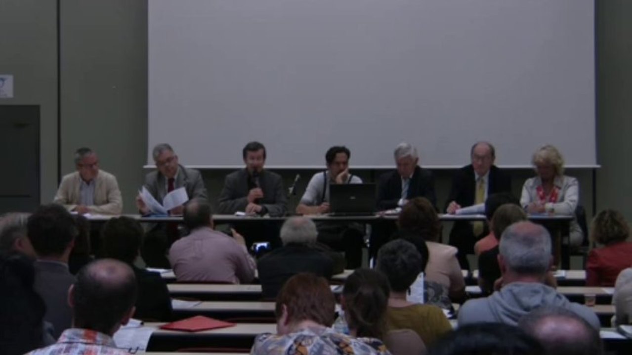 130617_Colloque_MCLCM_Partie1