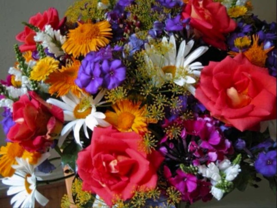 Les couleurs de la vie