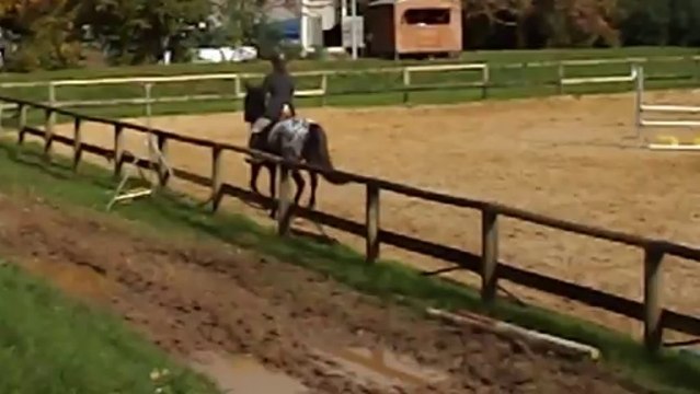 Quinoa Country CSO Melle Poney E2