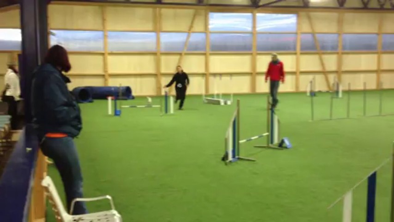 Jumping Stella 10.11.13