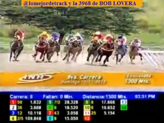 larinconada 8 carrera domingo noviembre