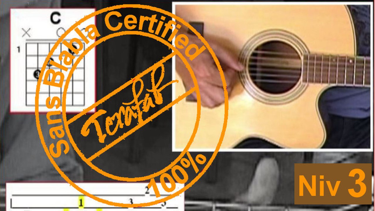 C'était l'hiver - Francis Cabrel [Tuto Guitare] by Terafab