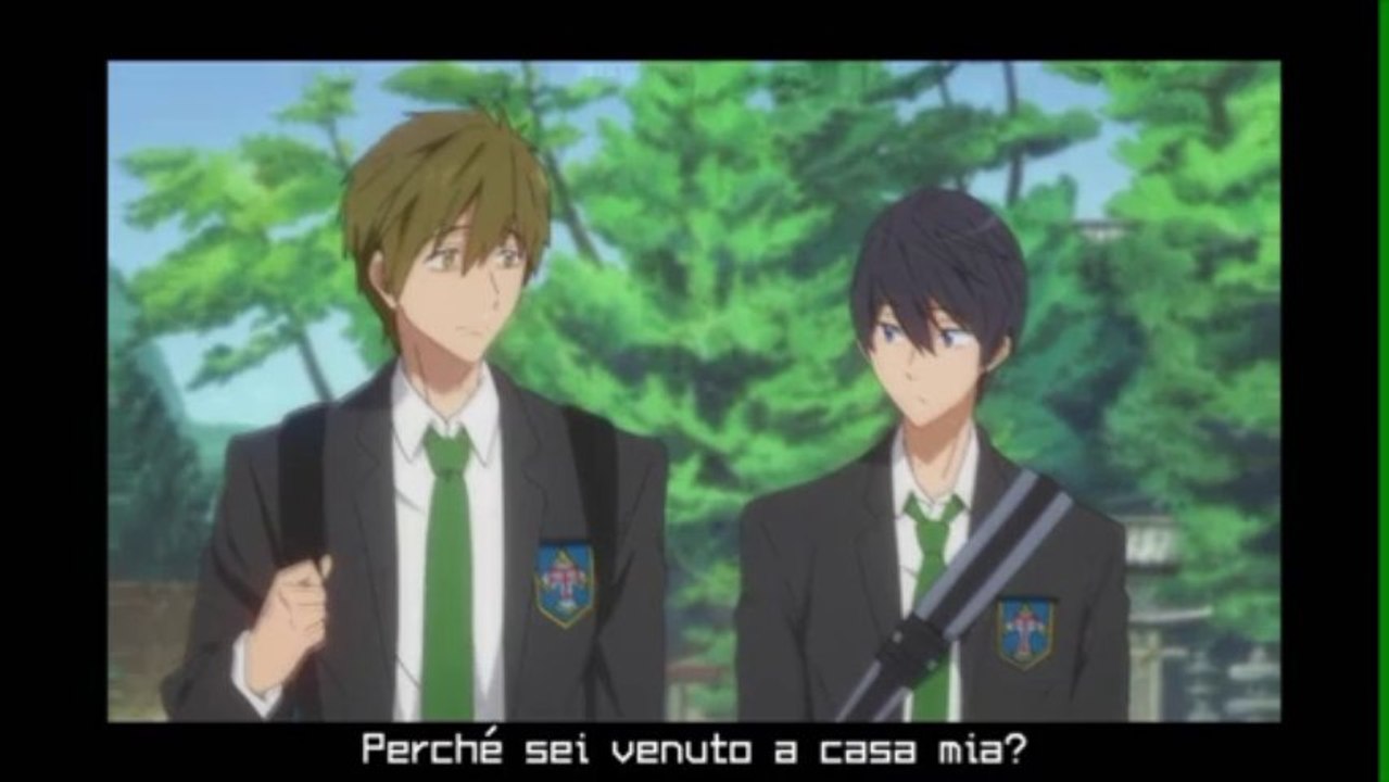 provino haruka