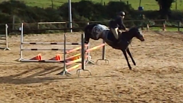 Quinoa CSO Melle Poney E1