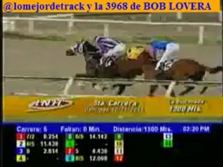 larinconada 5 carrera domingo 10 de noviembre del 2013