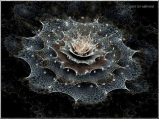 high tide  .paul weller cover