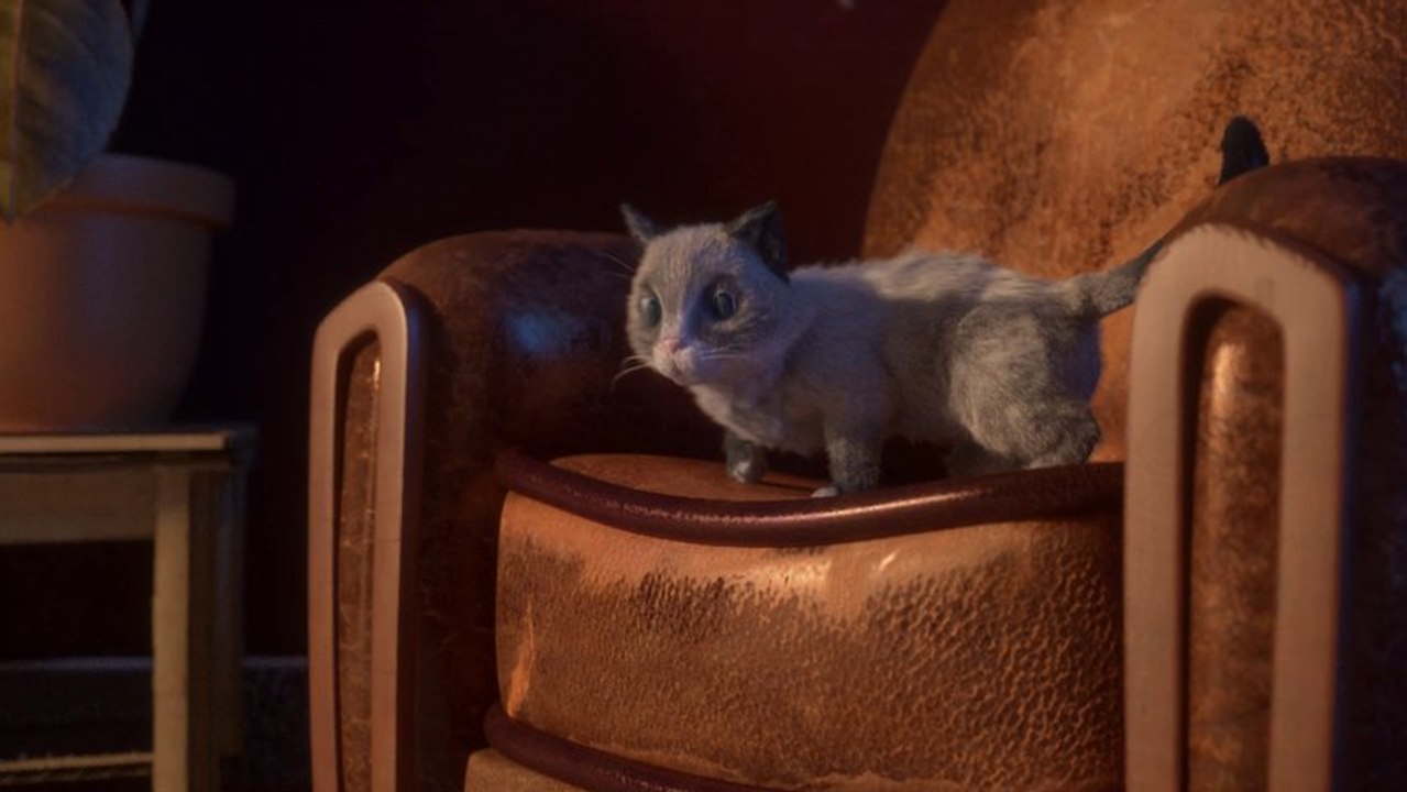 Le Fauteuil (2013)