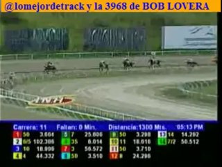 larinconada 11 CARRERA SABADO 09 DE NOVIEMBRE DEL 2013